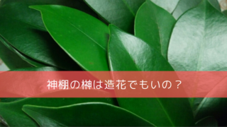 神棚の榊の飾り方 正しい配置はどこ 一対じゃないとダメ 榊の本数は何本にすべき 開運の神様