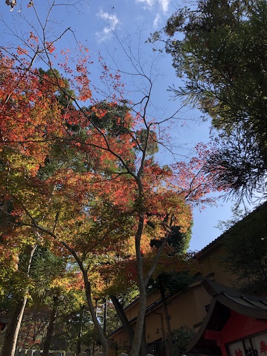 神道界の怪物を生んだ吉田神社の見どころは お守り 御朱印 駐車場も紹介します 開運の神様