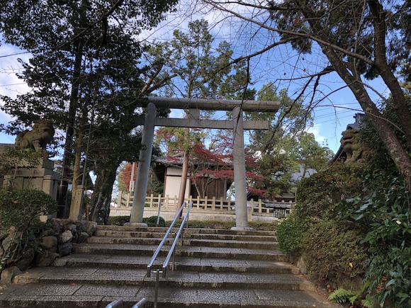 鳥居の種類についてまとめてみたよ 神明鳥居と明神鳥居の2つが基本形です 開運の神様